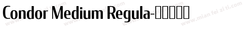 Condor Medium Regula字体转换